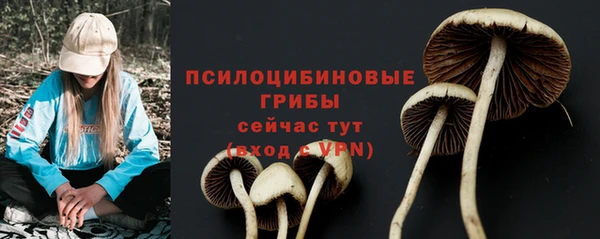 марки nbome Ельня