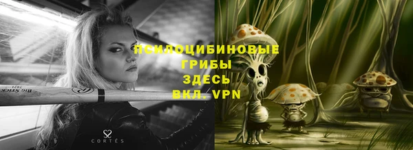 a pvp Елабуга