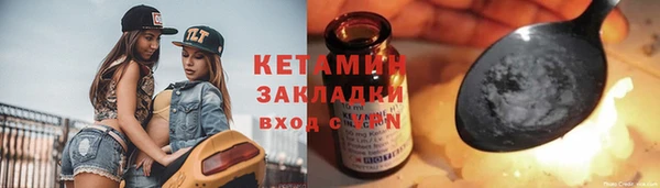 стаф Дмитров