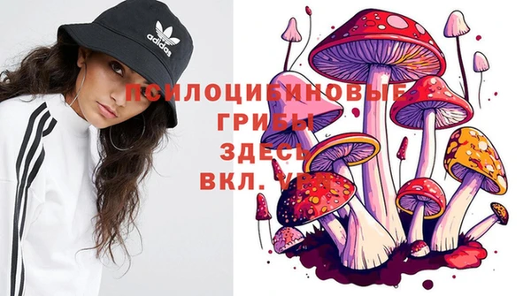 марки nbome Ельня