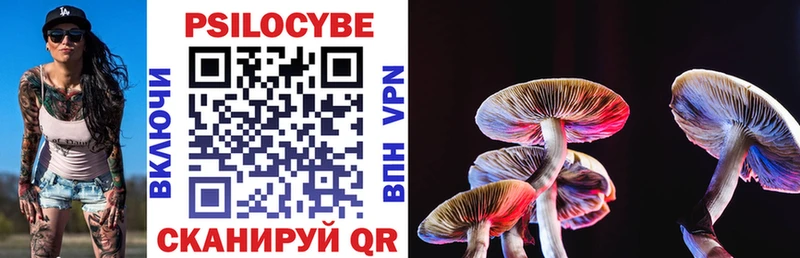хочу   Перевоз  Галлюциногенные грибы GOLDEN TEACHER 